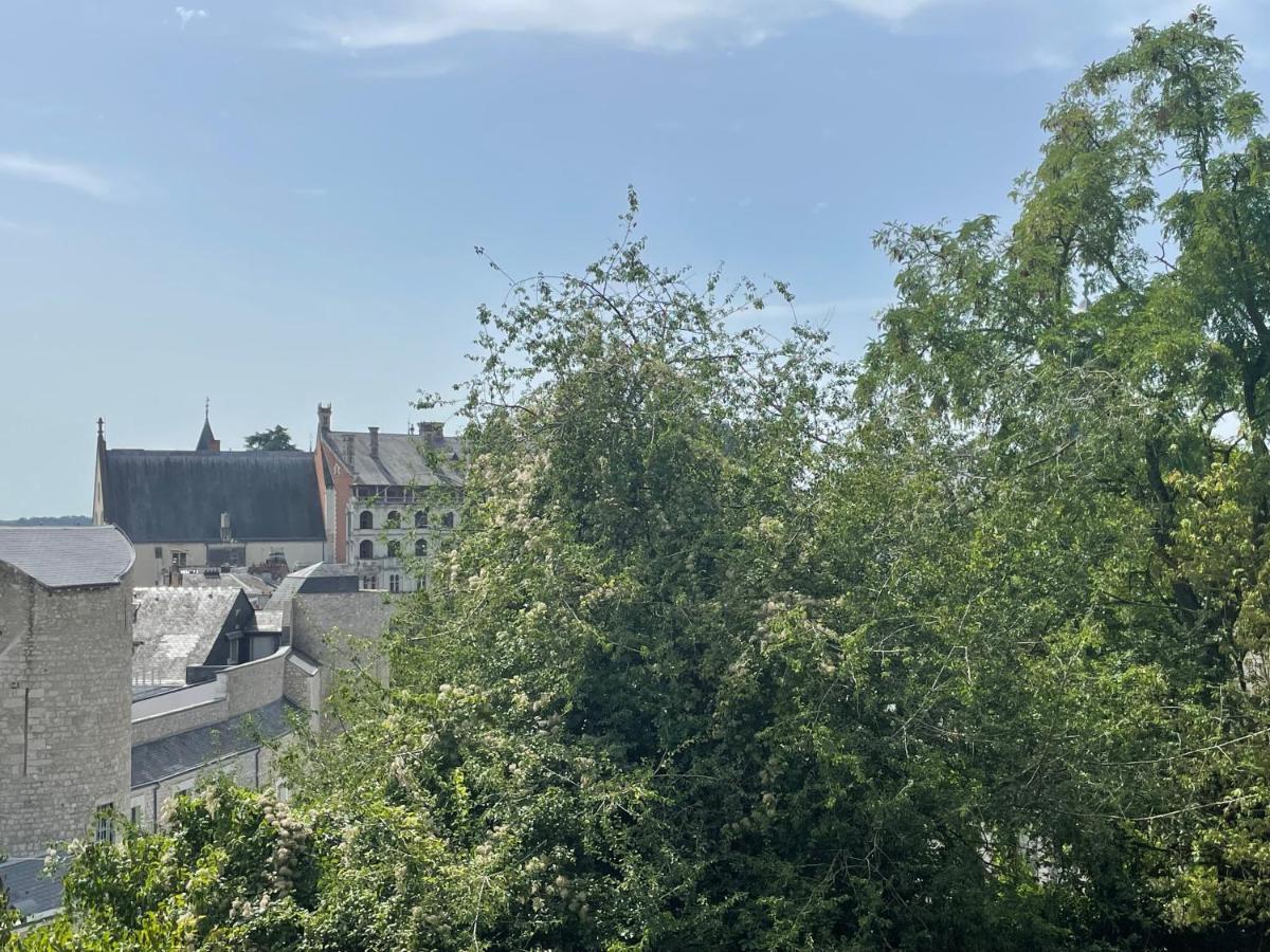 Clos Des Minimes Blois Luaran gambar